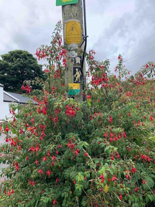 Castlegregory-Seaside 2 Bedroomed Cottage Esterno foto
