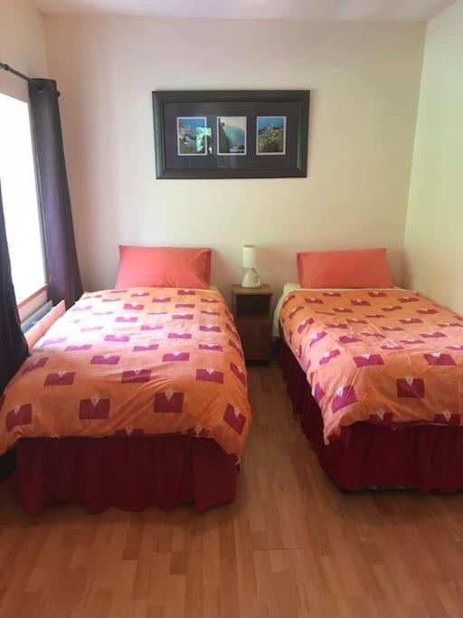 Castlegregory-Seaside 2 Bedroomed Cottage Esterno foto