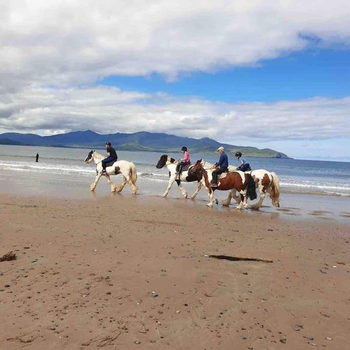 Castlegregory-Seaside 2 Bedroomed Cottage Esterno foto